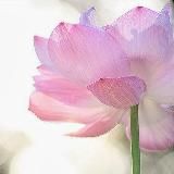 Медитация-расслабление