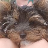 Unser Herz für dein Tier