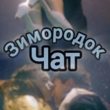 Зимородок_Чат