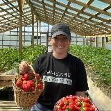 Татьяна Холомьёва (здесь обо всем)