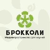 Школа бизнес-коучинга «Человеческий Капитал»