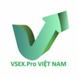 VSEX.PRO VIETNAM
