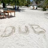 Dub (прогнозы и ставки на спорт)