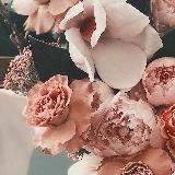 Международные банковские карты