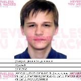 сливы скалли милано