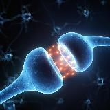 Synapse | Саморазвитие