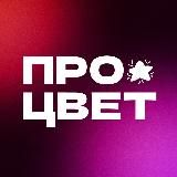 ПроЦвет