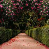 Ищу девушку, парня, знакомства, общение