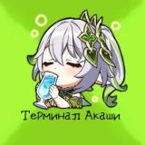 Терминал Акаши | Genshin