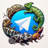 Reptiles y exóticos España