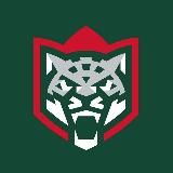 HSport l Ставки на спорт