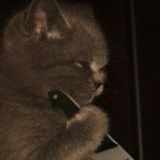 Потерянное общество