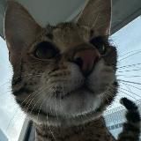 𝙗𝙞𝙤 𝙠𝙤𝙡𝙞𝙯𝙚𝙮