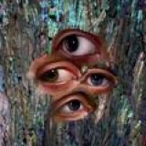 Naga Serena Community