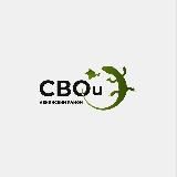 СВОИ (Ленинский район, Крым, Россия)