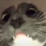 яна про егэ