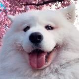 Подсобка Императора