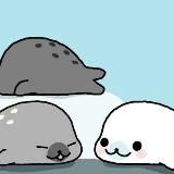 ୨'ᴏʀᴇsʜᴀ🦭♡