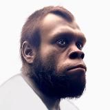 🦍 Криптохаев 🦍