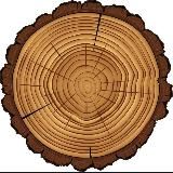 Повесть временных лет 2.0