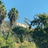 maks | united states 🇺🇸✨