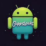 GApps Flags & Leaks