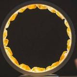 Healers of the World🌿🌏