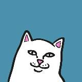 Боруссия | Бавария