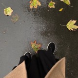 ynsimaa