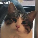 Диалоги о тиндере