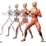 ❗ЛФК ФИТНЕС ДИЕТОЛОГИЯ РЕАБИЛИТАЦИЯ МАНУАЛЬНАЯ ТЕРАПИЯ БИОХИМИЯ