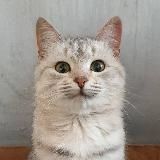 #антитревога