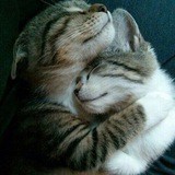 КОСЬКА😺