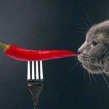 Данечка и посты о фигне