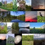 Тропарёво-Никулино Соседи