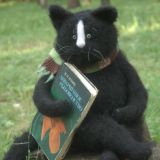 2ch книжный…