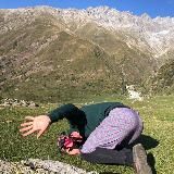 #алёшиныбудни