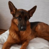 Обратная сторона мольберта