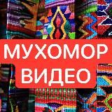 MUHOMORSPACE Video мухоморы видео ответы