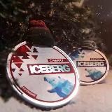 ICEBERG_SNUS_PODS