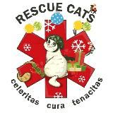 RESCUE CATS
