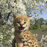 𝔼𝕤𝕥𝕖𝕥𝕚𝕔𝕒.𝕣𝕦𝕦𝕞