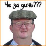 🏝️ GOA | Дичь (Гоа / Бали / Тай)