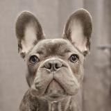 Карамба!•Приколы😂