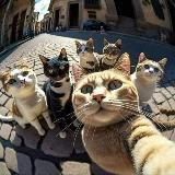 Живой мир 🐾