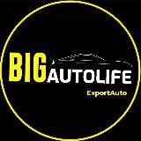 Bigautolife