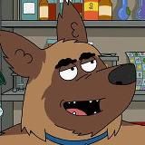 Будка Собаки