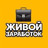 Живой Заработок с Антоном