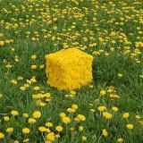 Картинки и ебанутые подписи к ним