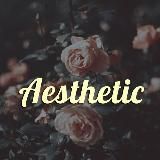 Книжная полка 📚